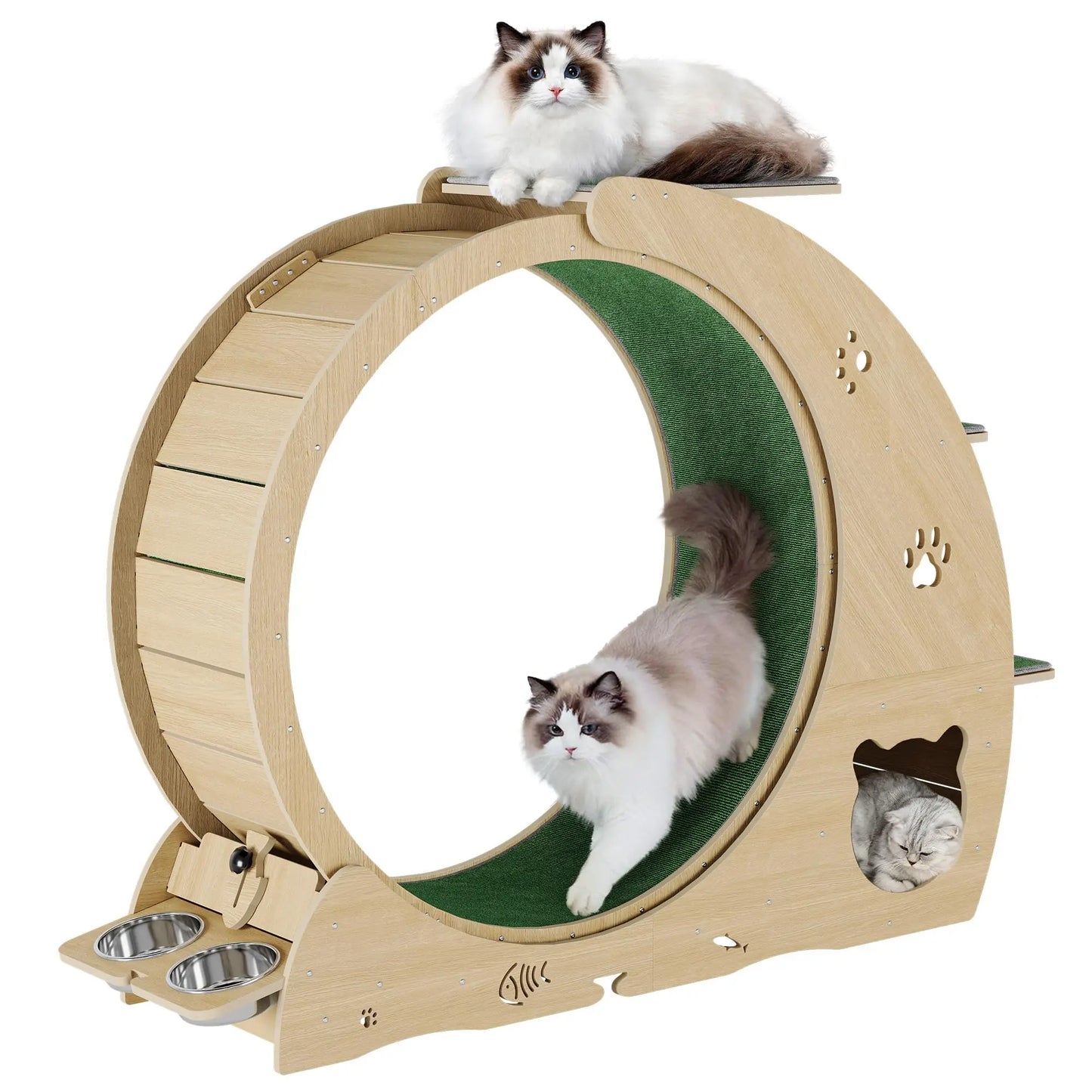6-in-1 Multifunctional Cat Exercise Wheel Quiet Large Cat Treadmill With Bowls Scratch Post Detachable Carpet Cats Running Wheel
