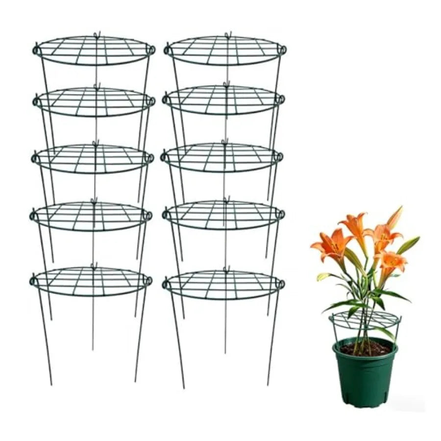 MTB Supply 10 Pack 16 x 24 inch Green Peony Cages for Outdoor Garden Use, Heavy-Duty Steel, Green, Rust-Resistant Support Hoops