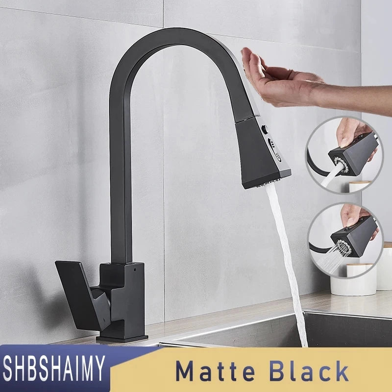 Shinesia Touch Sensor Filter Kitchen Faucet Gourmet Pull Out Pure Water Tap Dual Handle Black Kitchen Sink Mixer