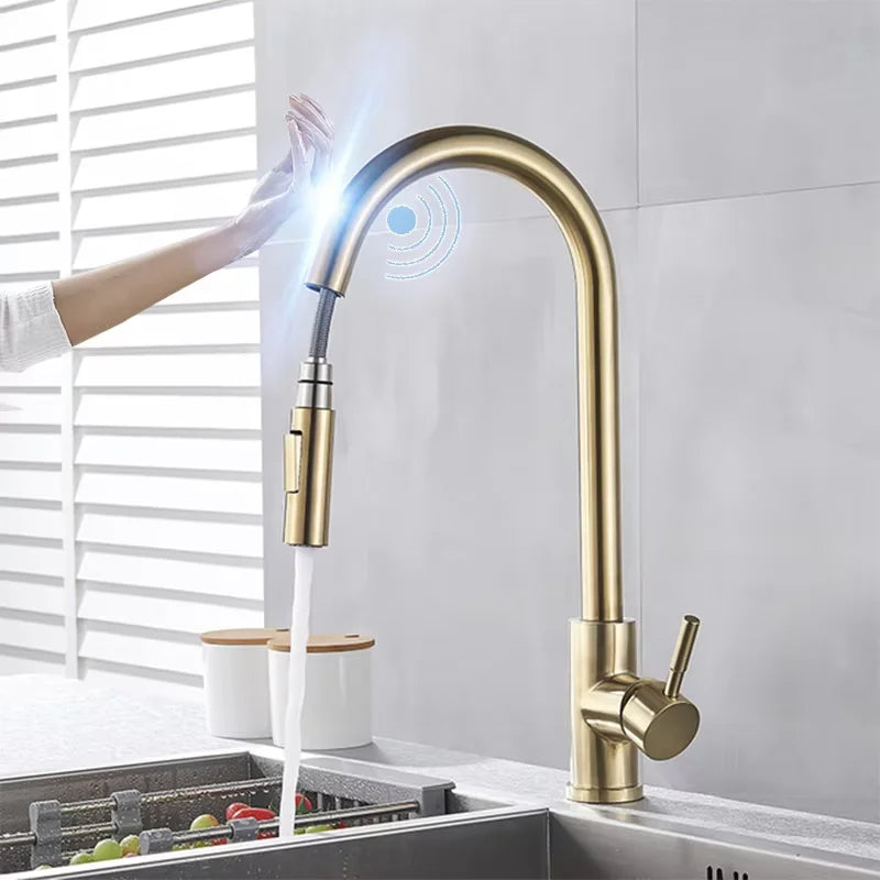 Shinesia Touch Sensor Filter Kitchen Faucet Gourmet Pull Out Pure Water Tap Dual Handle Black Kitchen Sink Mixer