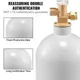 SucceBuy 5 Lbs CO2 Tank Aluminum Gas Cylinder Brand New CO2 Cylinder with Gray Spray Coating CO2 Tank with CGA320 Valve