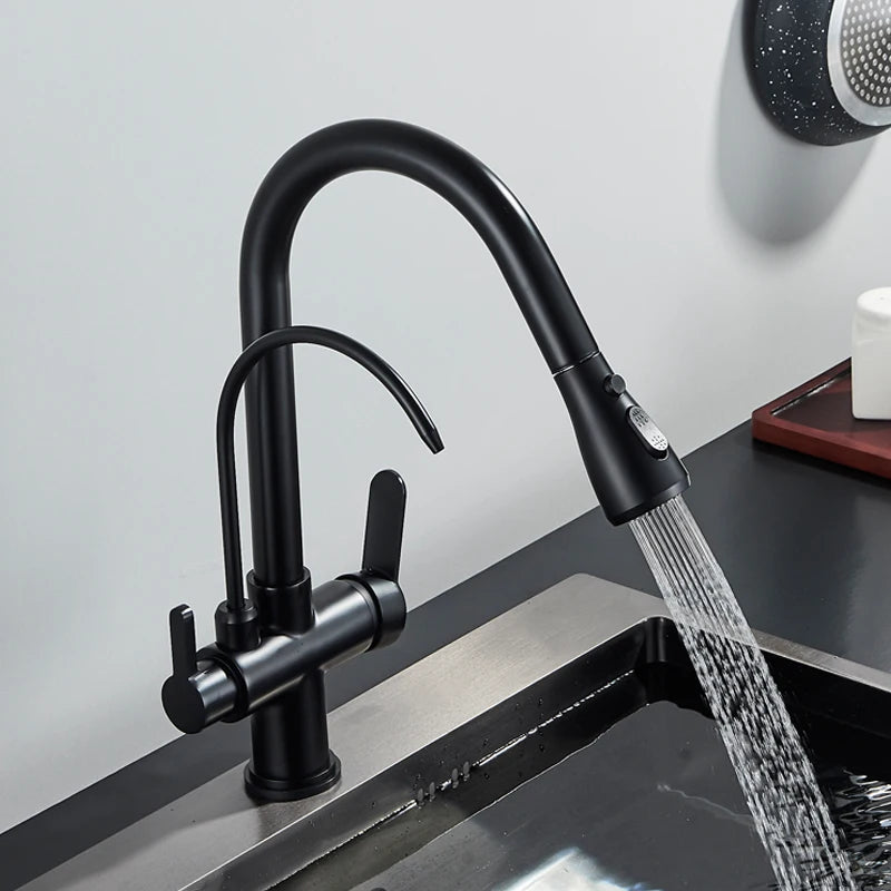 Shinesia Touch Sensor Filter Kitchen Faucet Gourmet Pull Out Pure Water Tap Dual Handle Black Kitchen Sink Mixer