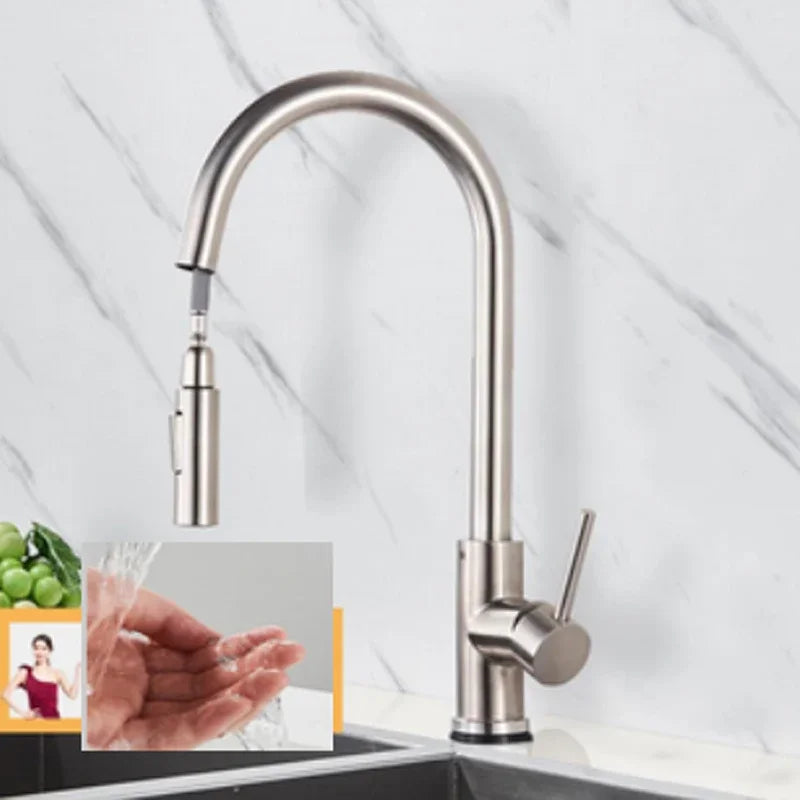 Shinesia Touch Sensor Filter Kitchen Faucet Gourmet Pull Out Pure Water Tap Dual Handle Black Kitchen Sink Mixer