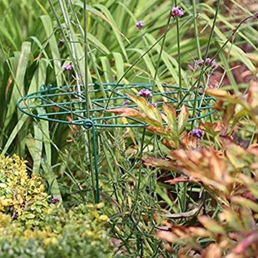 MTB Supply 10 Pack 16 x 24 inch Green Peony Cages for Outdoor Garden Use, Heavy-Duty Steel, Green, Rust-Resistant Support Hoops